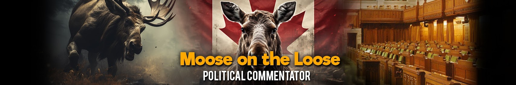 Banner for Moose on the Loose